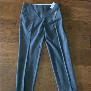 Loft dress pant